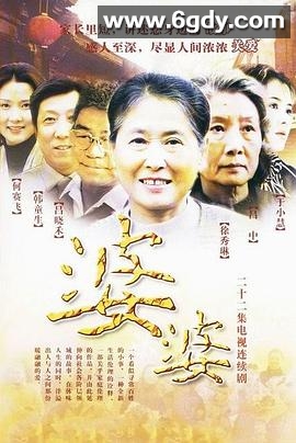 婆婆(2004)完结已完结迅雷网盘全集下载