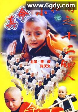 真命小和尚之十二铜人(1997)完结已完结迅雷网盘全集下载