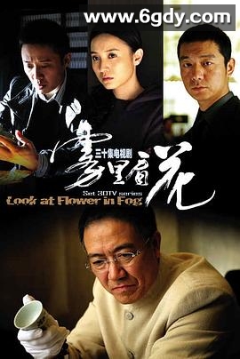 雾里看花(2009)完结已完结迅雷网盘全集下载
