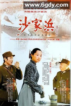 沙家浜2006(2006)完结已完结迅雷网盘全集下载