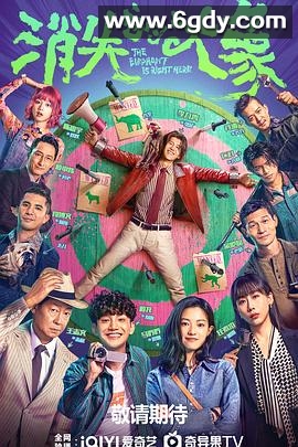 消失的大象(2024)完结12集全迅雷网盘全集下载