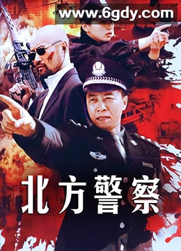 北方警察(2006)完结已完结迅雷网盘全集下载