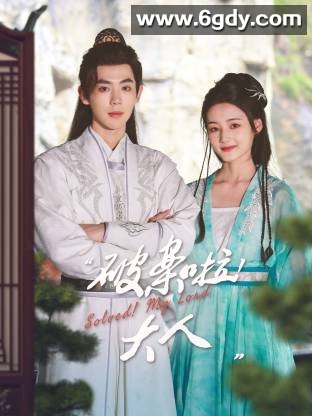 破案啦！大人(2025)完结已完结迅雷网盘全集下载