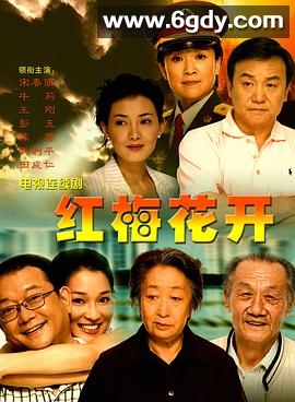 红梅花开(2007)完结已完结迅雷网盘全集下载