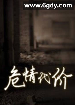 危情代价(2005)完结已完结迅雷网盘全集下载