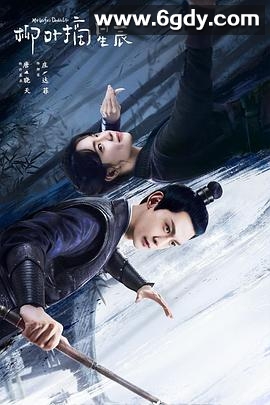 柳叶摘星辰(2024)完结24集全迅雷网盘全集下载