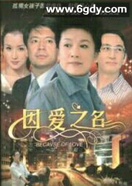 因爱之名(2007)完结已完结迅雷网盘全集下载