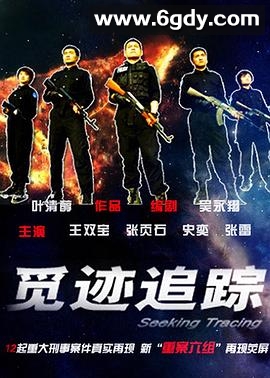 觅迹追踪(2009)完结已完结迅雷网盘全集下载