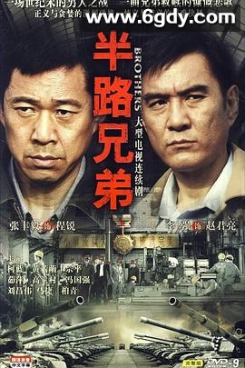 半路兄弟(2010)完结已完结迅雷网盘全集下载
