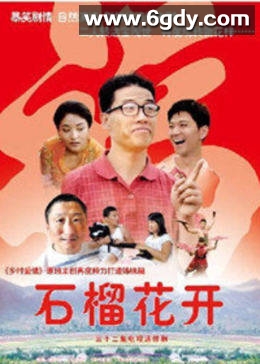 石榴花开(2007)完结已完结迅雷网盘全集下载