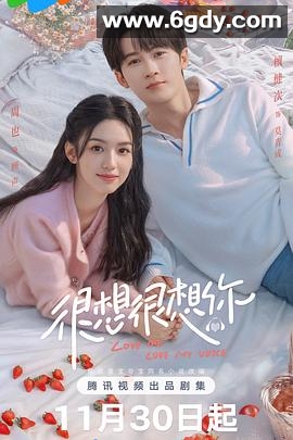 很想很想你(2023)完结33集全迅雷网盘全集下载