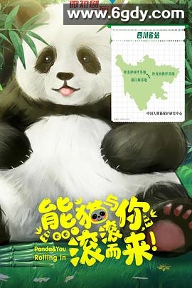 熊猫与你，滚滚而来！(2025)完结全20集迅雷网盘全集下载
