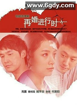 再婚进行时(2011)完结已完结迅雷网盘全集下载