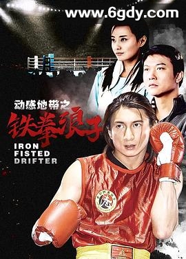 铁拳浪子(2004)完结已完结迅雷网盘全集下载