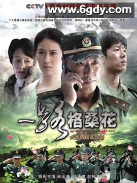 一路格桑花(2010)完结已完结迅雷网盘全集下载