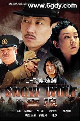 雪狼(2007)完结已完结迅雷网盘全集下载