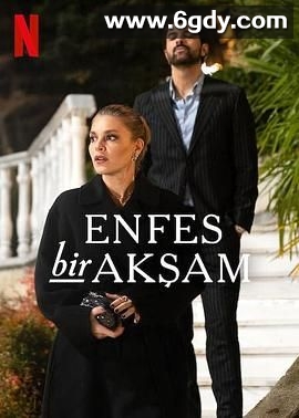 权欲阶梯(2025)完结8集全迅雷网盘全集下载