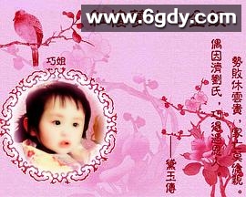 黛玉传(2011)完结已完结迅雷网盘全集下载