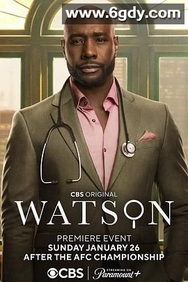 华生 第一季(2025)完结全13集迅雷网盘全集下载