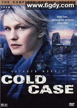 铁证悬案 第二季(2004)完结23集全迅雷网盘全集下载