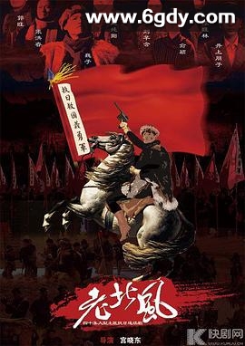 义勇义勇(2013)完结已完结迅雷网盘全集下载