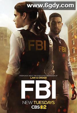 联邦调查局 第一季(2018)完结22集全迅雷网盘全集下载