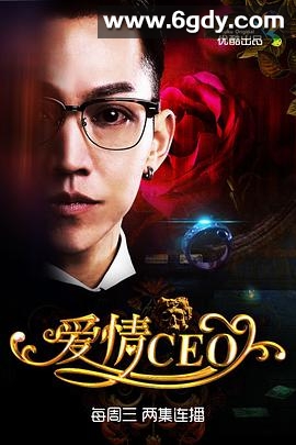 爱情CEO(2015)完结已完结迅雷网盘全集下载