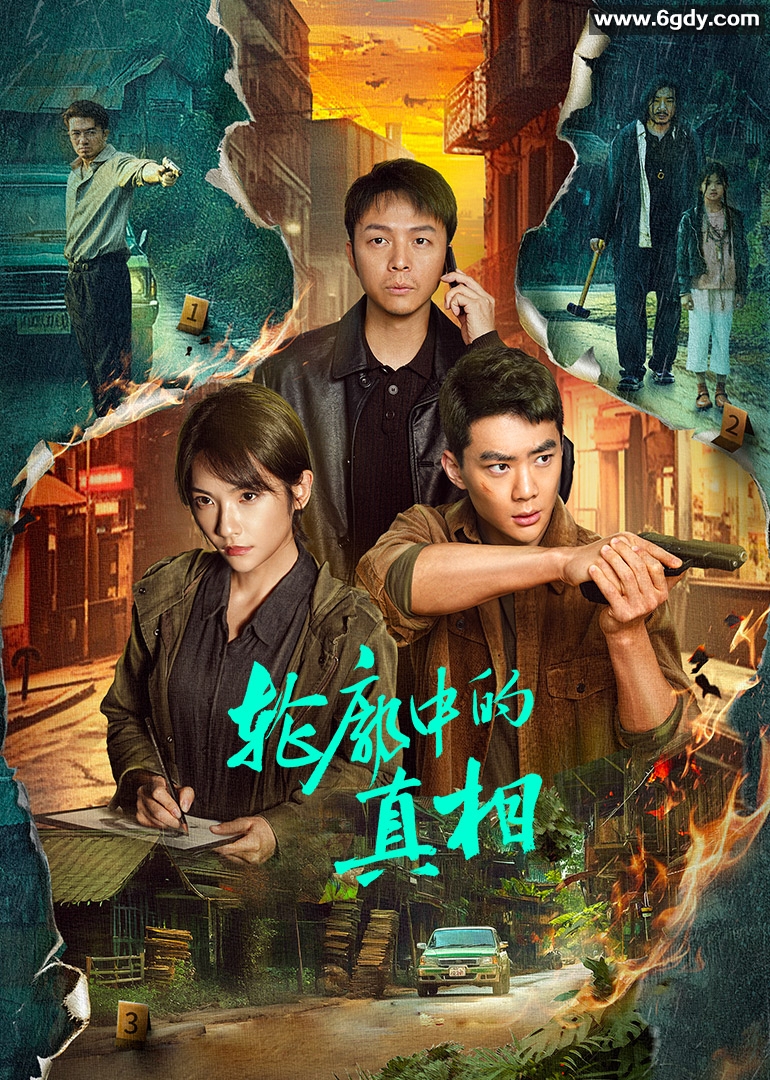 轮廓中的真相(2025)完结24集全迅雷网盘全集下载