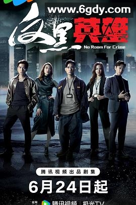 反黑英雄(2024)完结25集全迅雷网盘全集下载