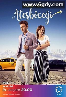 萤火虫2017(2017)完结更新至第08集迅雷网盘全集下载