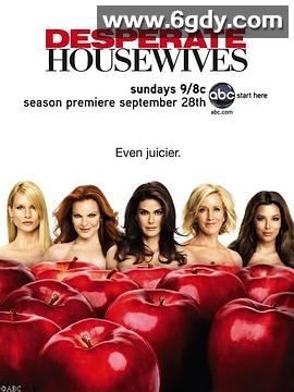 绝望主妇 第五季(2008)完结24集全迅雷网盘全集下载