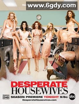 绝望主妇 第三季(2006)完结23集全迅雷网盘全集下载