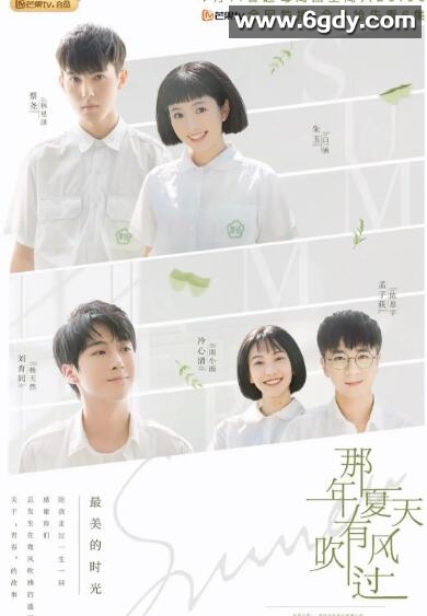 那年夏天有风吹过(2019)完结27集全迅雷网盘全集下载