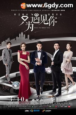 只为遇见你(2019)完结53集全迅雷网盘全集下载