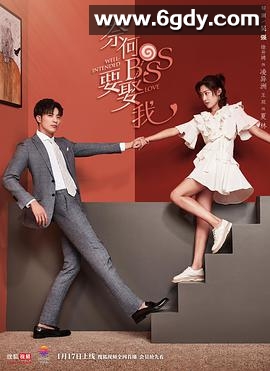 奈何boss要娶我(2019)完结20集全迅雷网盘全集下载