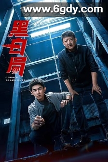 黑白局(2025)完结20集全迅雷网盘全集下载