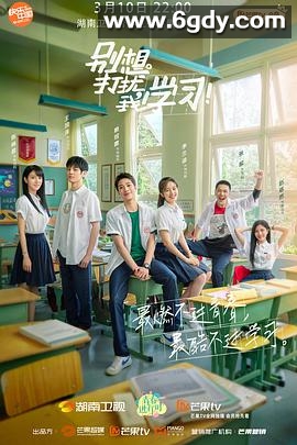 别想打扰我学习(2021)完结24集全迅雷网盘全集下载