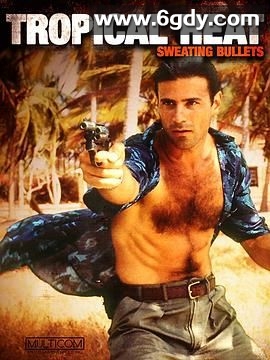 热带侦探(1991)完结53集全迅雷网盘全集下载