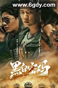 黑白密码(2023)完结24集全迅雷网盘全集下载