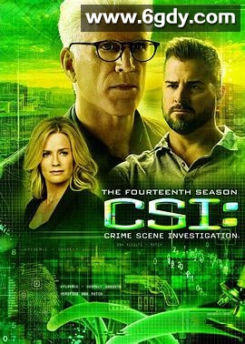 犯罪现场调查 第十四季(2013)完结22集全迅雷网盘全集下载