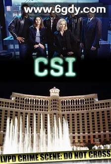 犯罪现场调查 第二季(2001)完结23集全迅雷网盘全集下载