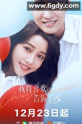 我将喜欢告诉了风(2024)完结20集全迅雷网盘全集下载