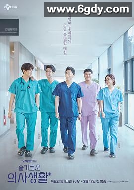 机智医生生活(2020)完结12集全迅雷网盘全集下载