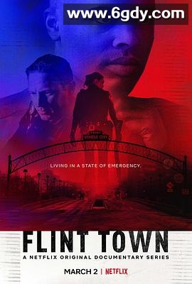 弗林特警局(2018)完结8集全迅雷网盘全集下载