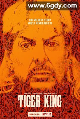 养虎为患 第一季(2020)完结8集全迅雷网盘全集下载