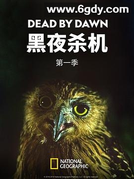 黑夜杀机 第一季(2019)完结6集全迅雷网盘全集下载