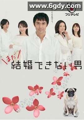 还是不能结婚的男人(2019)完结10集全迅雷网盘全集下载