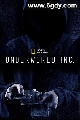 黑市大企业 第二季(2015)完结8集全迅雷网盘全集下载