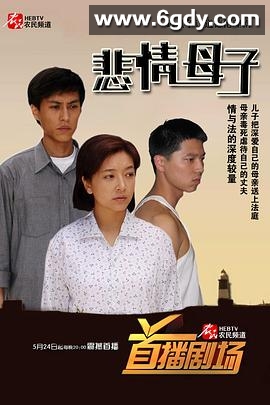 悲情母子(2006)完结已完结迅雷网盘全集下载