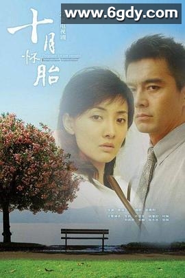十月怀胎(2005)完结已完结迅雷网盘全集下载